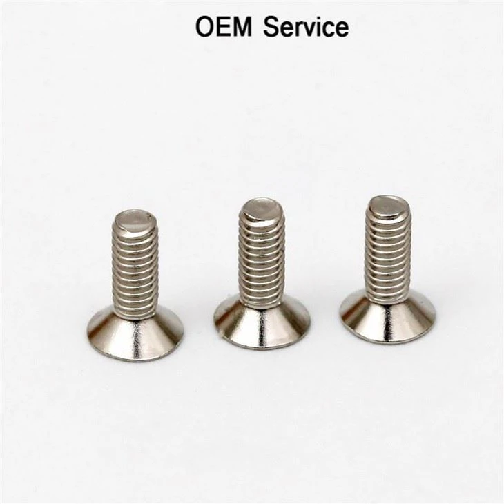 Stainless Steel Countersunk Head Screw Cross Recessed Micro Screw